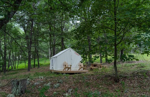 Mathias RV Rental | Tentrr State Park Site - WV Lost River State Park - Wooded Wilderness D - Single