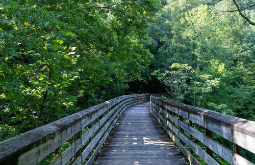 Ansted RV Rental | Tentrr State Park Site - WV Hawk's Nest State Park - Site G - Single Camp