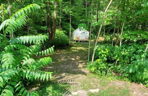 Ansted RV Rental | Tentrr State Park Site - WV Hawk's Nest State Park - Site C - Single Camp