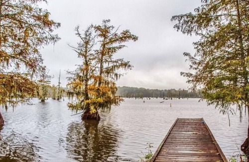Saint Landry RV Rental | Tentrr State Park Site - Louisiana Chicot State Park - Site F - Single Camp