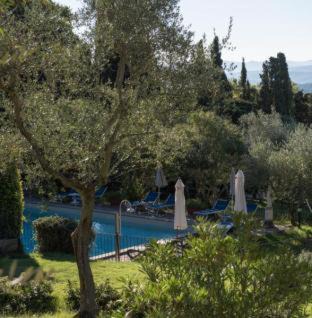 Sassetta House | Tenuta La Bandita