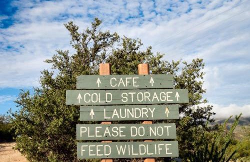 Alpine Cabin | Terlingua Ranch Lodge
