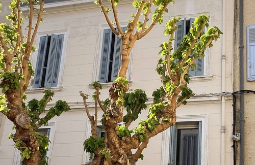 Sanary-sur-Mer Apartment | Terrasse sur le Toit - Cœur de Ville Piétonnier, 2 Pièces de Charme Unique