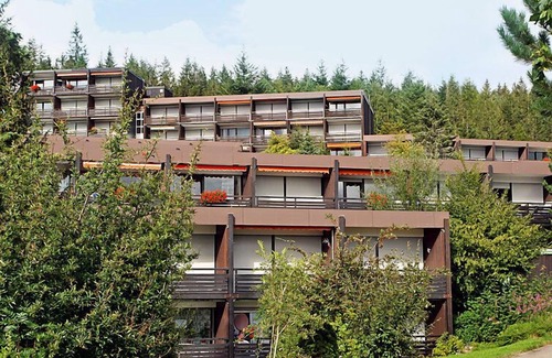Schonach im Schwarzwald Apartment | Terrassenpark by Interhome