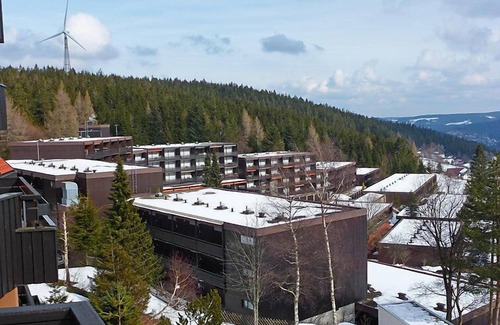 Schonach im Schwarzwald Apartment | Terrassenpark by Interhome