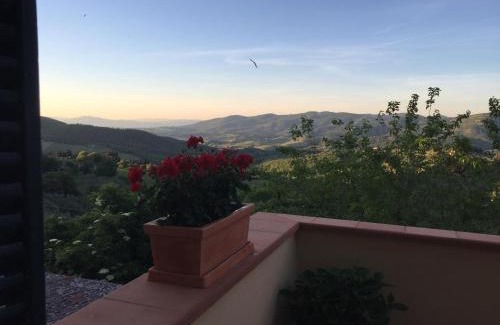 Panzano in Chianti Apartment | Terrazza a Campana