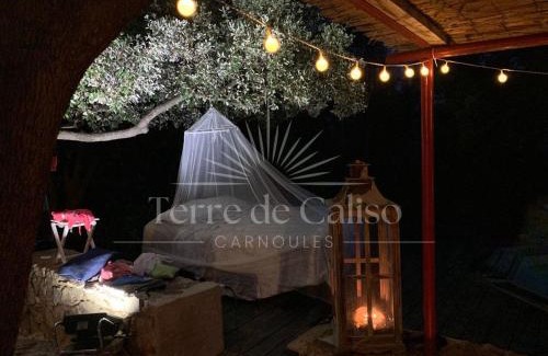 Carnoules House | Terre de Caliso