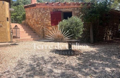 Carnoules House | Terre de Caliso