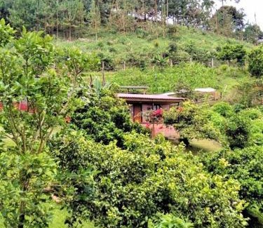 Filandia House | Tesorito House en las Montañas del Quindío