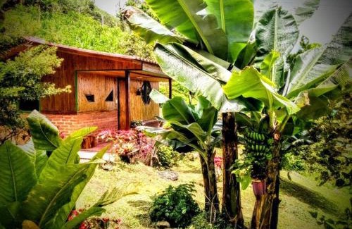 Filandia House | Tesorito House en las Montañas del Quindío