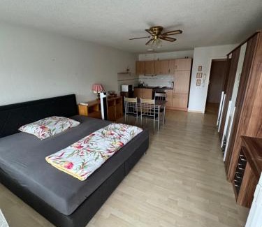 Bad Saeckingen Apartment | TF Therme