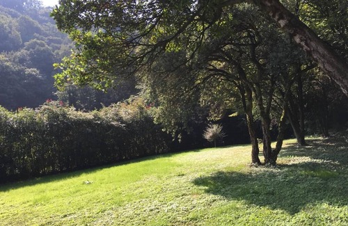 Bergamo House | .tGreen in the city exists: discover it at the Hedgehog Mansion with your furry.