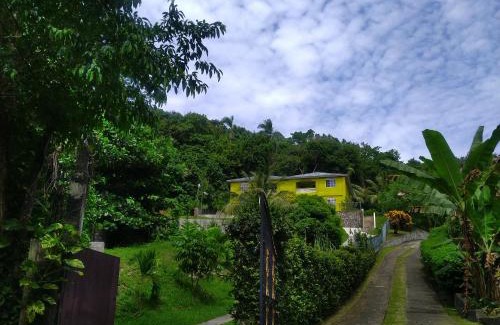 Port Antonio Apartment | Tha Lagoon Spots CooL VyBz