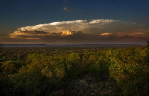 Madibeng Cabin | Thabaledi Game Lodge