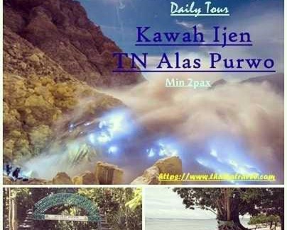 Banyuwangi House | Thalia Homestay & Ijen Bromo Tour