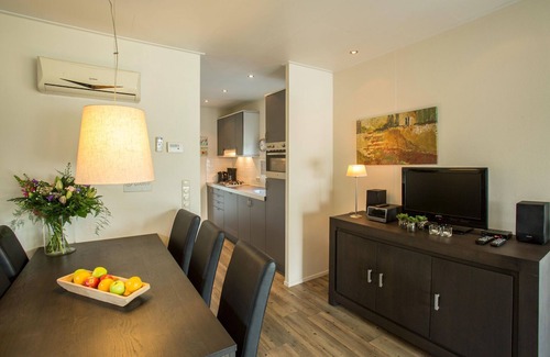 Hoge Hexel Ski Chalet | Thatched lodge with AC and a dishwasher, in green Twente