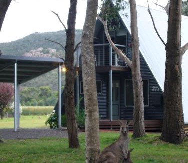 Halls Gap Ski Chalet | The A-Frame