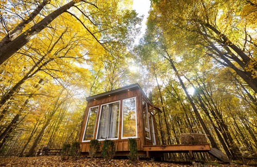 Middlesex Centre Cabin | The Adler Cabin at Fernwood Hills