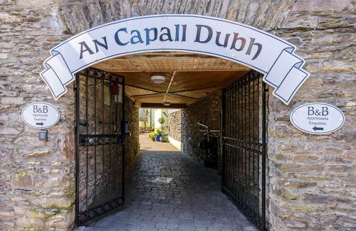 Dingle Apartment | The Arch An Capall Dubh Dingle