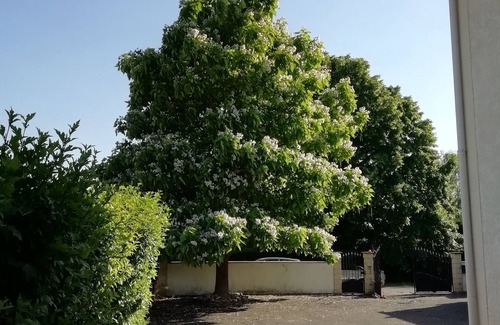 Noyers-sur-Cher House | The Asato Tribe near Beauval Zoo