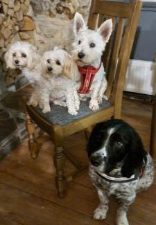 St Ives Bed & Breakfast | The Balnoon Inn B&B