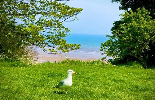 Filey House | The Bay, Filey, Moonshine Cottage
