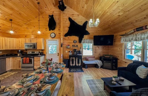 Brownfield Cabin | The Bear's Den | Lake Access, Hot Tub, Firepit!