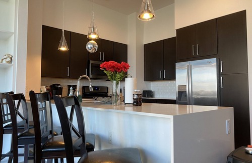 Texas Medical Center Apartment | The beautiful High Rise 2B2.5B Penthouse Suit