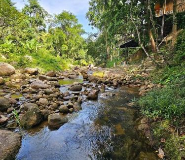 Lan Saka Hotel | The BED Forest Camp Lansaka ฟอเรสแค้มป์ ลานสกา