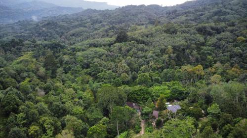 Lan Saka Hotel | The BED Forest Camp Lansaka ฟอเรสแค้มป์ ลานสกา
