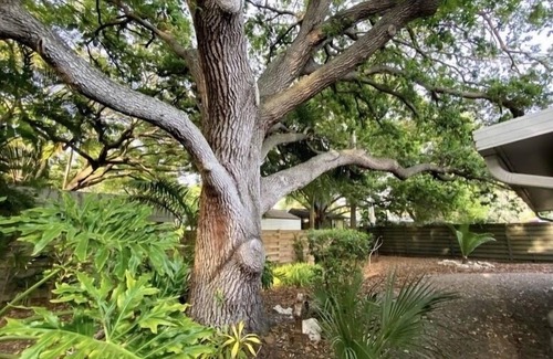 Indian Beach Sapphire Shores House | The Bella by Sarasota Bay!