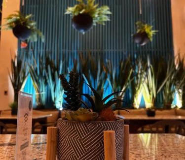 Zona Centro Hotel | The Bersal House
