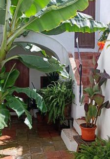 Tarifa Apartment | The best in the center of Tarifa