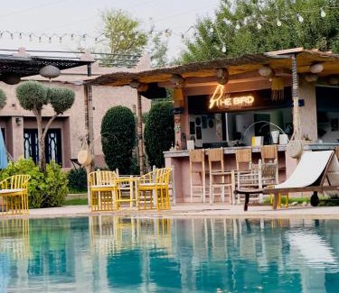 Annakhil House | the bird