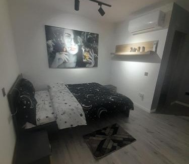 Baia Mare Apartment | The Bis Apartament