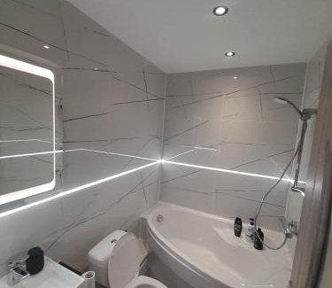 Baia Mare Apartment | The Bis Apartament