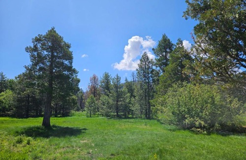 Mill Creek Hotel | The Black Forest Lodge