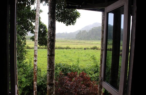 Virarajendrapet House | The Bliss Coorg