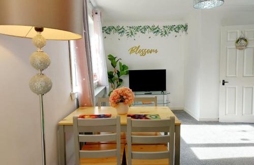 Largs Apartment | The Blossom - Largs