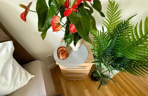 Cork House | The Blue Haven - Calm and Cozy Stay