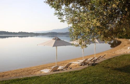 Sithonia Villa | The Blue Olive villa Sithonia Halkidiki