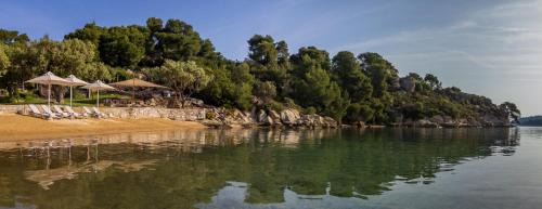 Sithonia Villa | The Blue Olive villa Sithonia Halkidiki