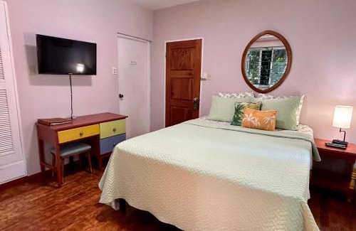 Montego Bay Bed & Breakfast | The Blue Orchid B&B