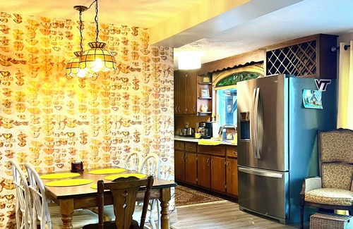 New River House | The Blue Ridge Bungalow- 3BR 2BA, hot tub with panoramic views, dog-friendly.