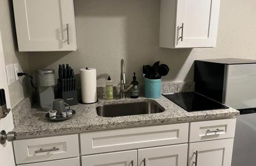 St. Petersburg Apartment | The Blue Wave Suite Unit C