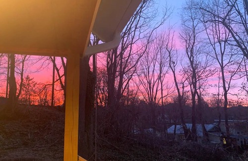Westwood Place Cabin | The Bluebird- A Cute, Cozy Tiny House, 5 mins to Downtown Asheville