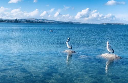 Encounter Bay Resort | The Bluff Resort Apartments