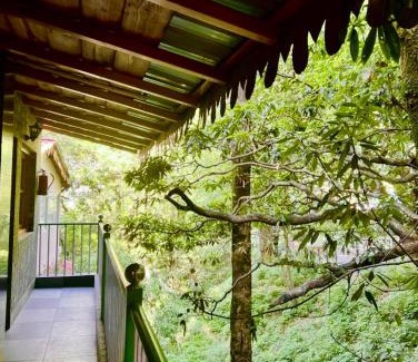 Nainital Resort | The Boho Heritage Woods