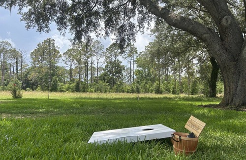Wildwood House | The Brickstone Home- Large backyard, games, 5 minutes from Brownwood!