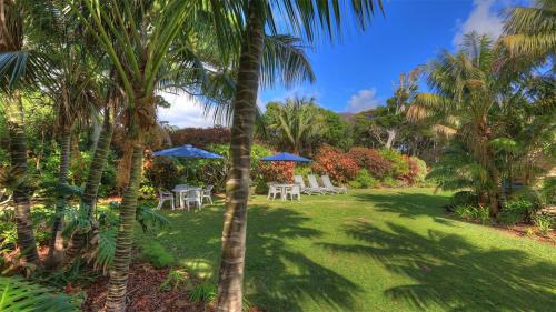 Lord Howe Island Apartment | The Broken Banyan